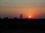 aniv_paso_libres001.jpg